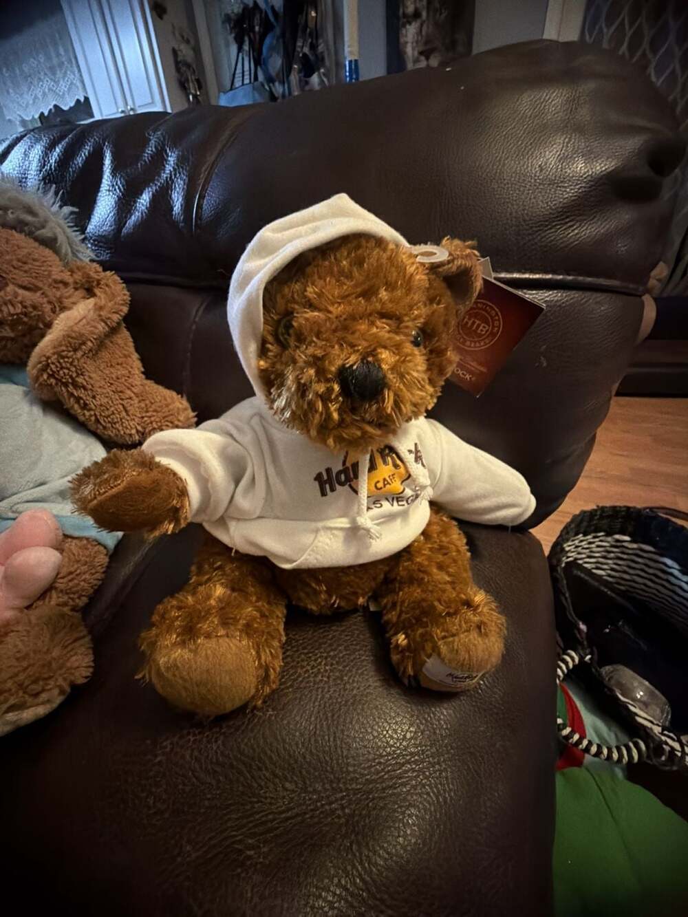Hard Rock Cafe Madrid Spain 9" Plush Herrington Rockin' Teddy Bear HTB w/ Hoodie